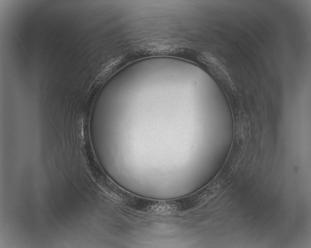 X0000052970115200507300148