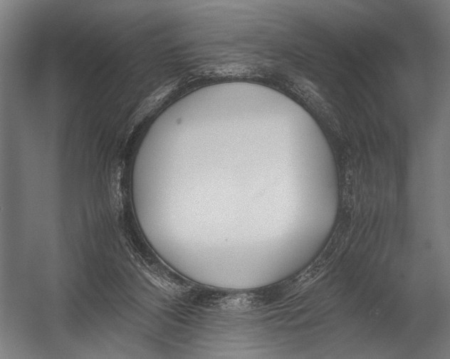 X0000052970116200507300147