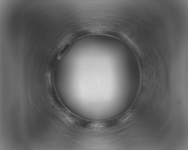 X0000052970117200507300147