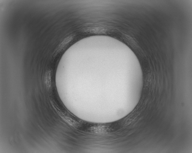 X0000052970120200507300147