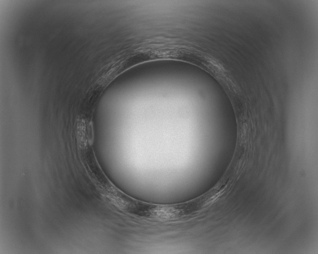 X0000052970121200507300147