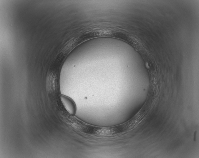 X0000052970123200507300147