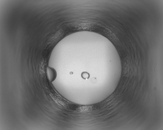 X0000052970126200507300147