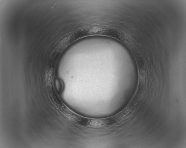 X0000052970127200507300147