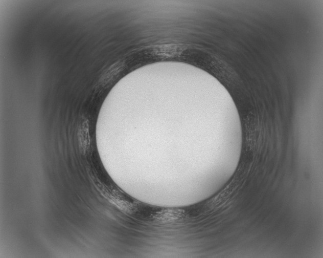 X0000052970128200507300147