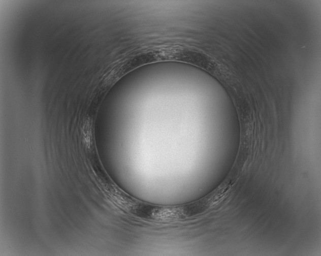 X0000052970129200507300147