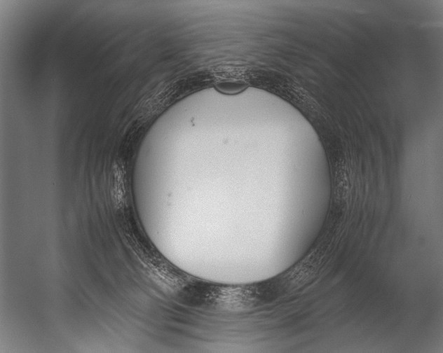 X0000052970130200507300147