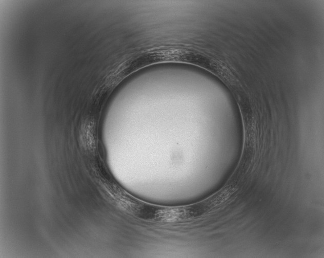 X0000052970131200507300147