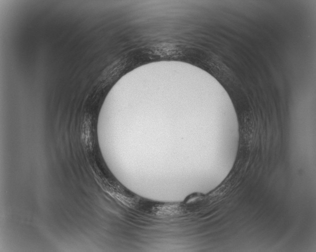 X0000052970132200507300147