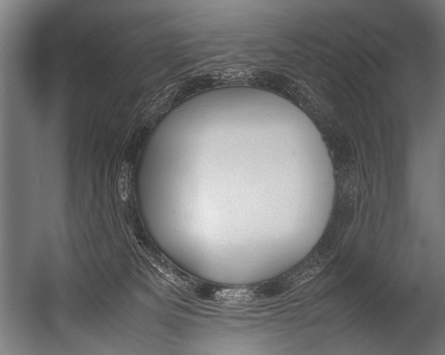 X0000052970133200507300147