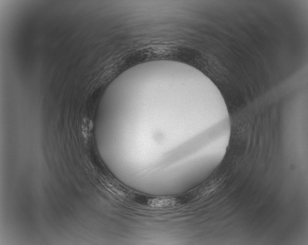 X0000052970135200507300147