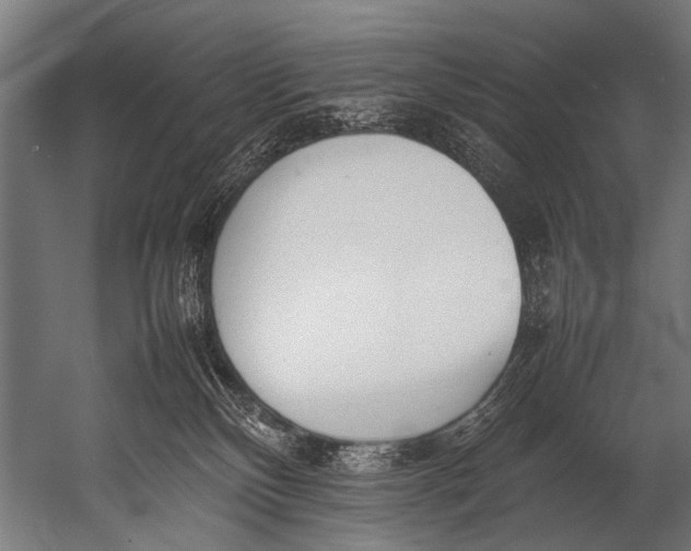 X0000052970136200507300147