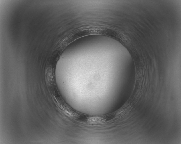 X0000052970137200507300147