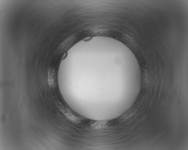 X0000052970138200507300147