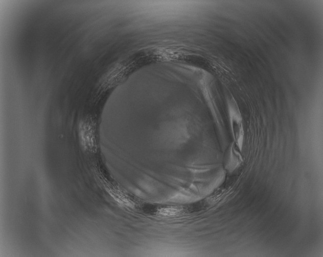 X0000052970139200507300147