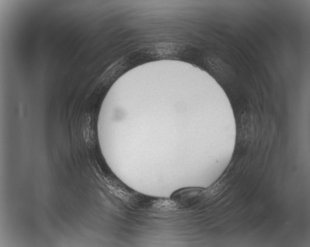 X0000052970140200507300147