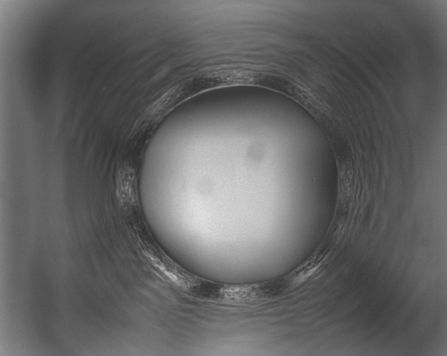 X0000052970141200507300147