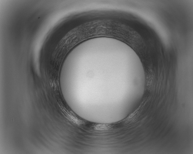 X0000052970142200507300147