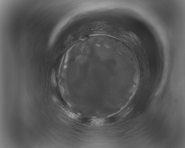 X0000052970143200507300147