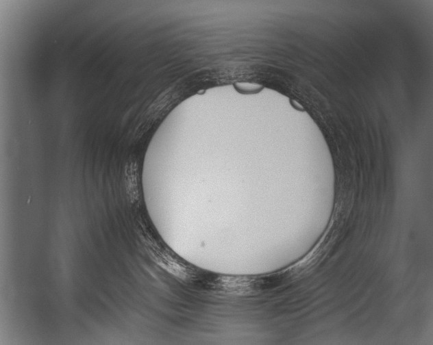 X0000052970144200507300147