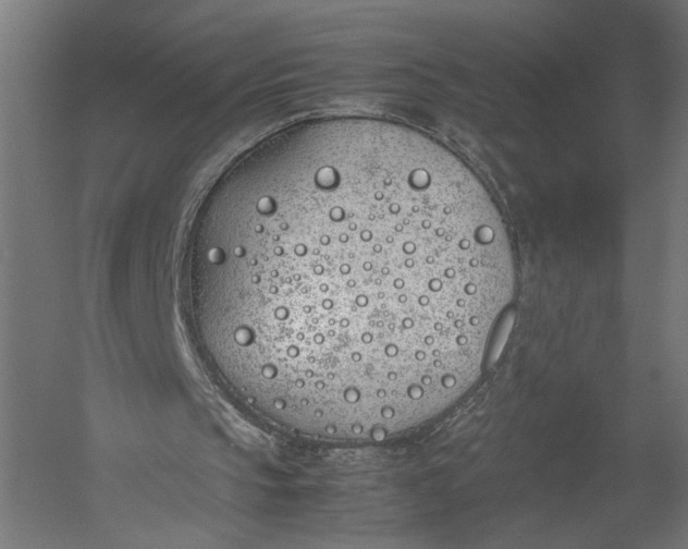 X0000052970145200507300146