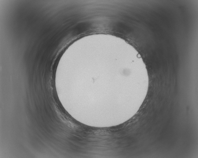 X0000052970146200507300146