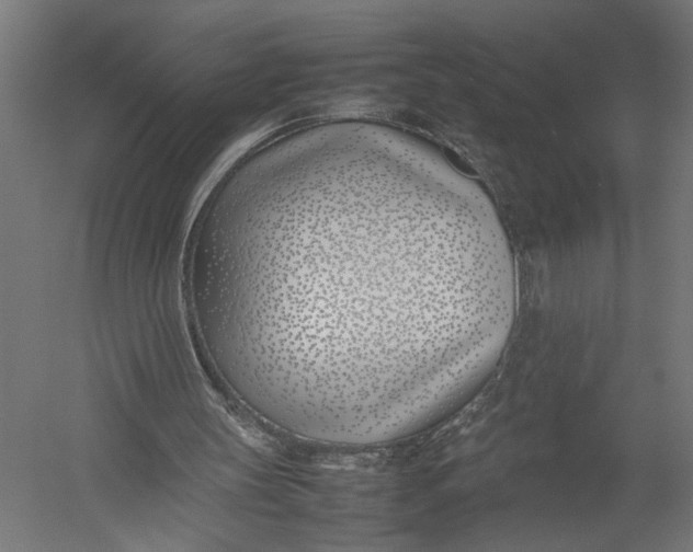 X0000052970147200507300146