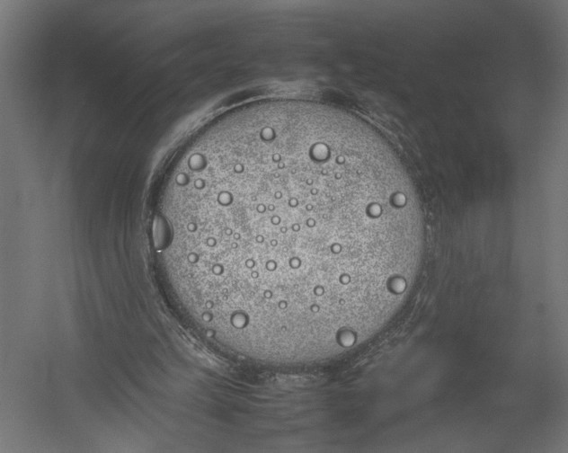 X0000052970149200507300146