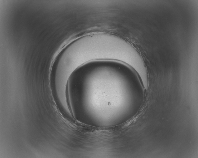 X0000052970150200507300146