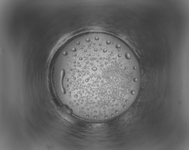 X0000052970151200507300146