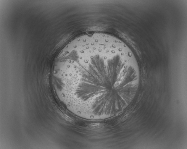 X0000052970153200507300146