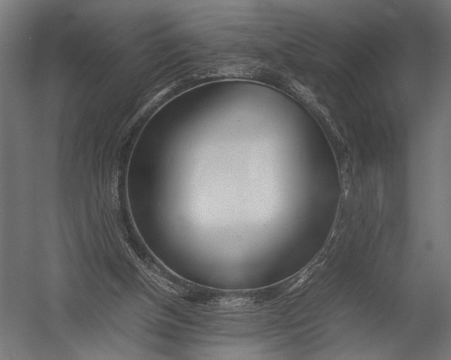 X0000052970154200507300146