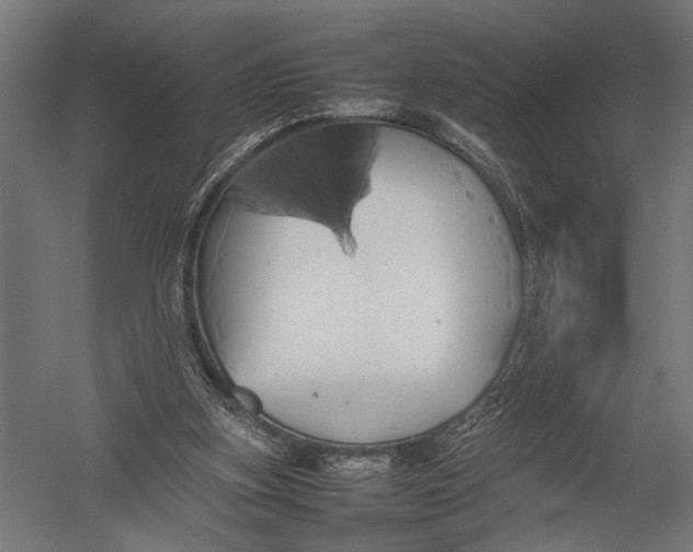 X0000052970155200507300146