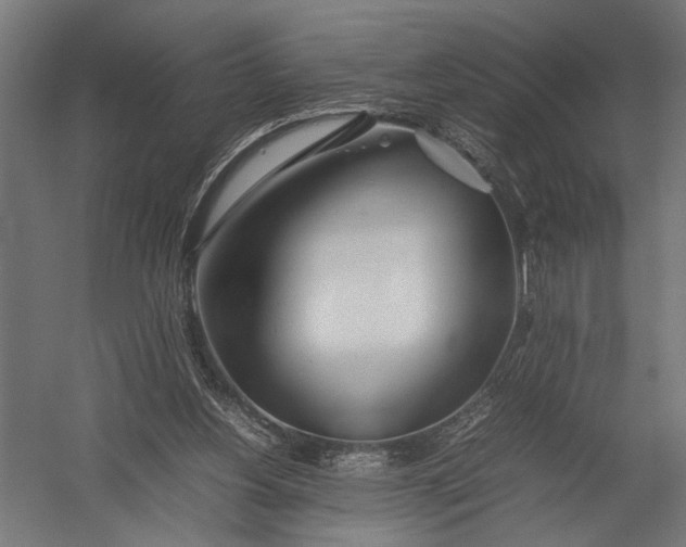 X0000052970156200507300146