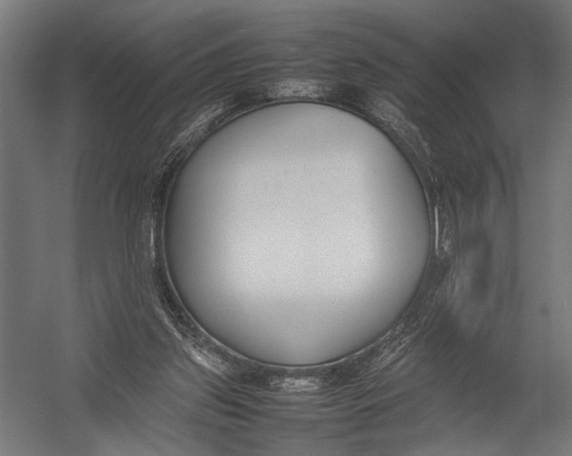 X0000052970157200507300146