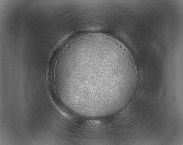 X0000052970159200507300146