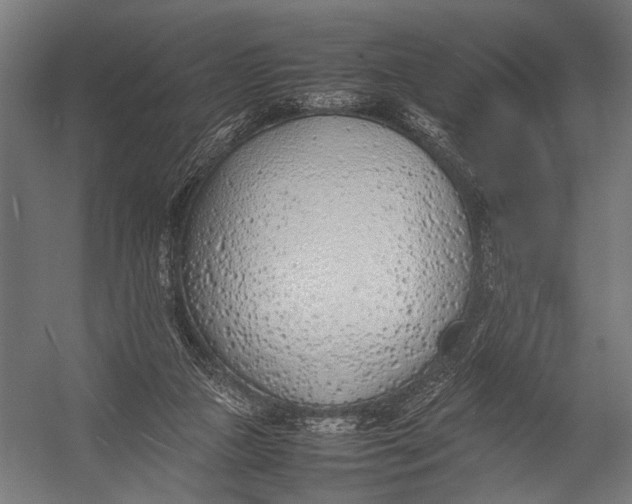 X0000052970161200507300146