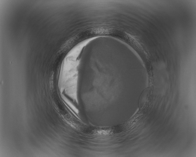 X0000052970163200507300147