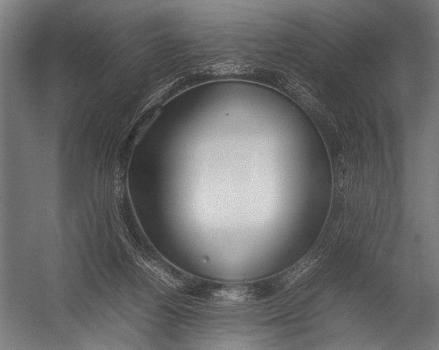 X0000052970164200507300147