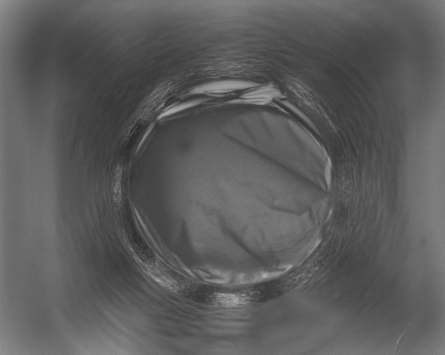 X0000052970167200507300147