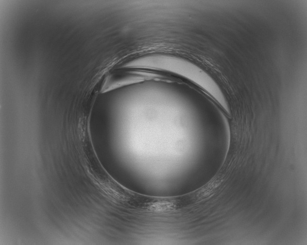 X0000052970168200507300147