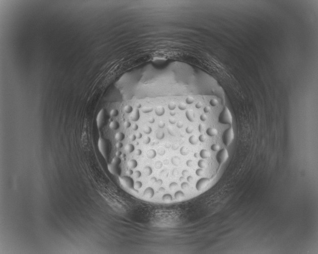 X0000052970169200507300147