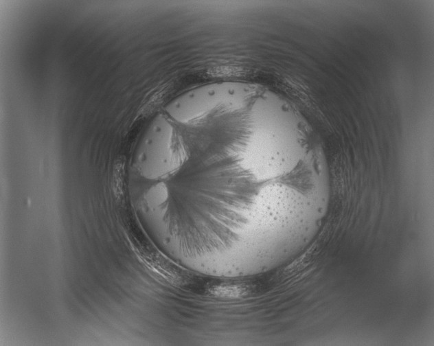 X0000052970171200507300147