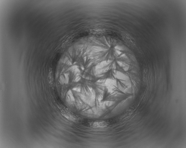 X0000052970173200507300147