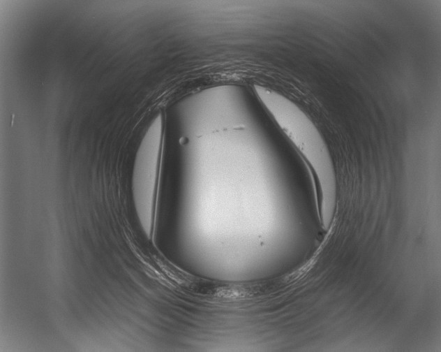 X0000052970174200507300147