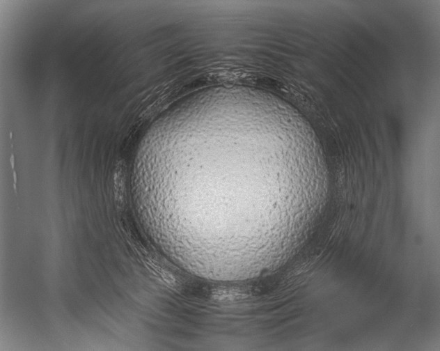 X0000052970177200507300147