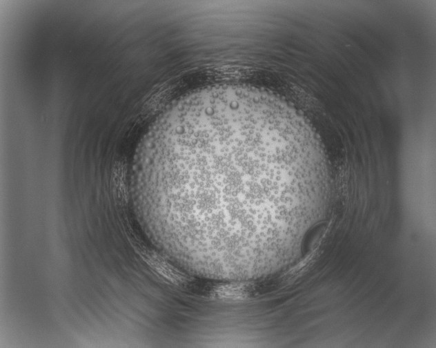 X0000052970178200507300147