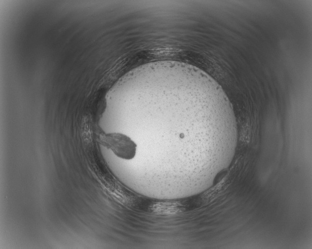 X0000052970179200507300147