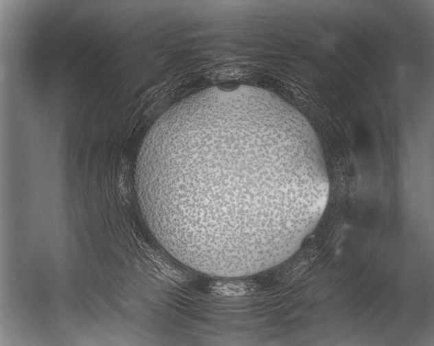 X0000052970181200507300147