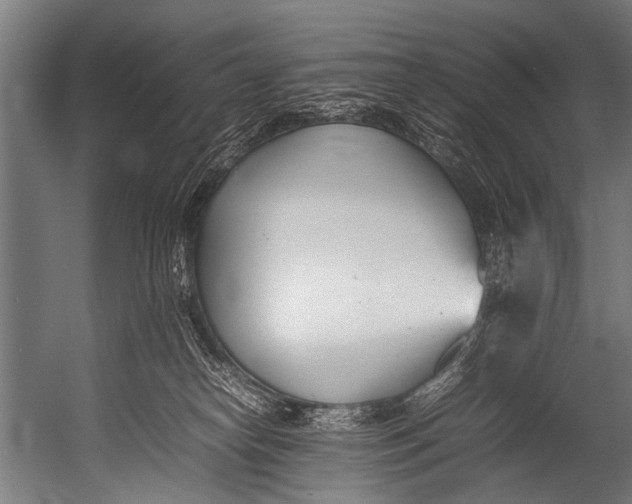 X0000052970182200507300147